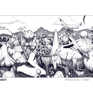 Mycologic - Forêt - A4